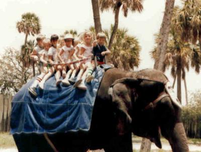 Riding the elephant